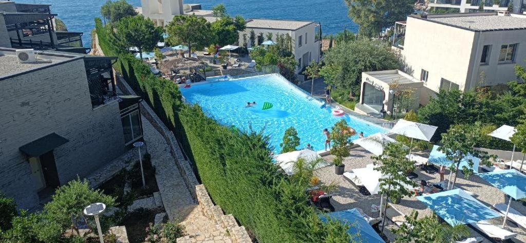 Aquamarine 1, * Vlorë